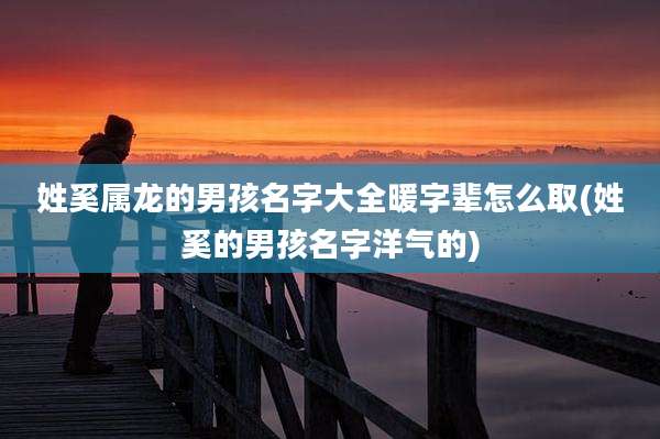 姓奚属龙的男孩名字大全暖字辈怎么取(姓奚的男孩名字洋气的)