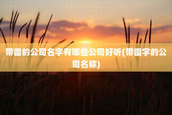 带雷的公司名字有哪些公司好听(带雷字的公司名称)