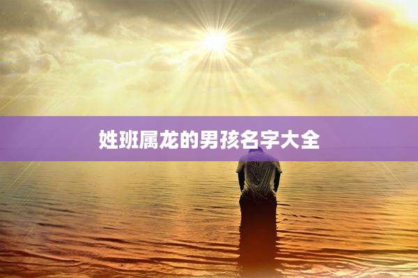 姓班属龙的男孩名字大全