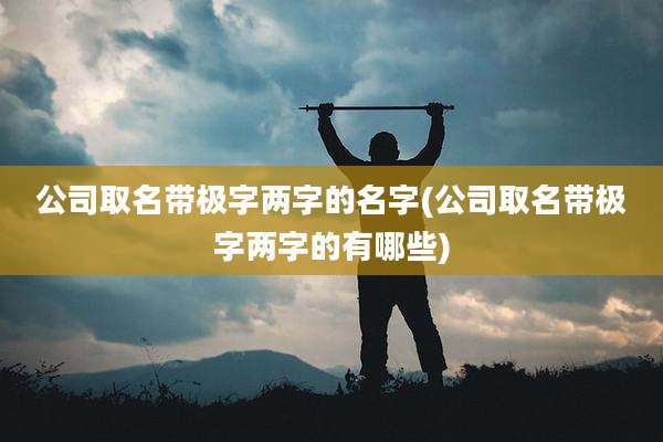 公司取名带极字两字的名字(公司取名带极字两字的有哪些)