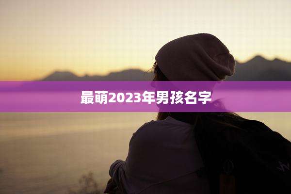 最萌2023年男孩名字