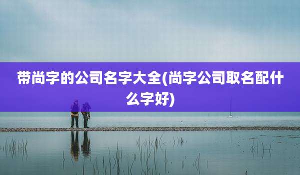 带尚字的公司名字大全(尚字公司取名配什么字好)