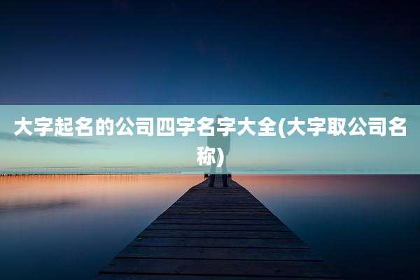 大字起名的公司四字名字大全(大字取公司名称)