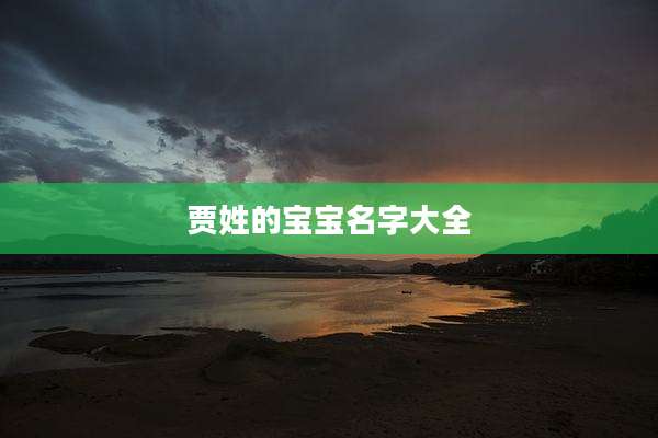 贾姓的宝宝名字大全