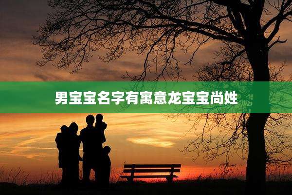 男宝宝名字有寓意龙宝宝尚姓