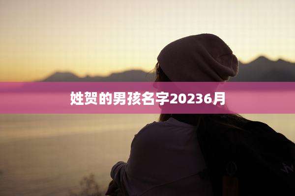 姓贺的男孩名字20236月