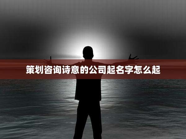 策划咨询诗意的公司起名字怎么起