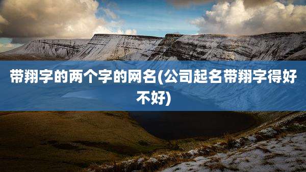 带翔字的两个字的网名(公司起名带翔字得好不好)