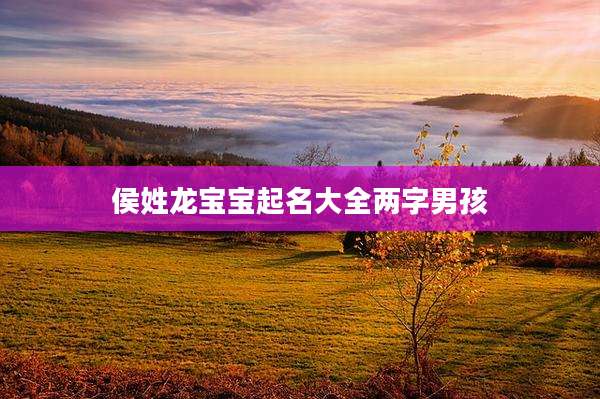 侯姓龙宝宝起名大全两字男孩