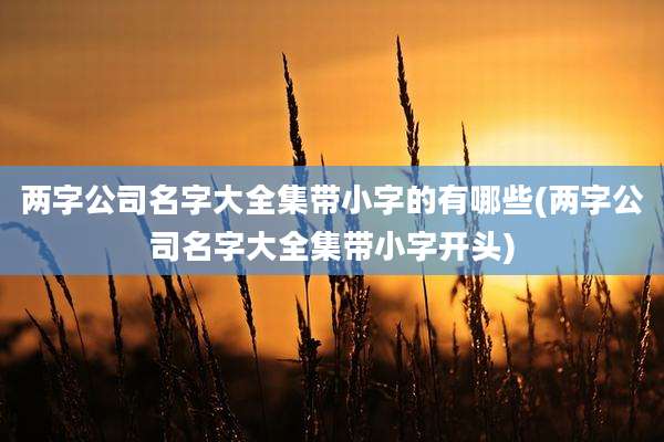 两字公司名字大全集带小字的有哪些(两字公司名字大全集带小字开头)