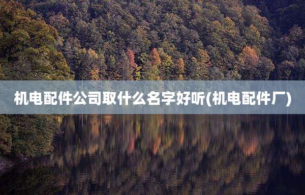 机电配件公司取什么名字好听(机电配件厂)