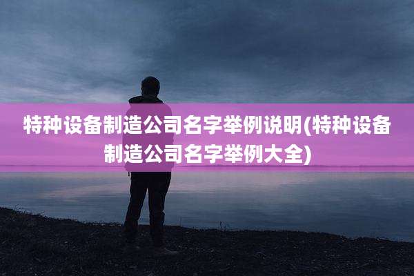 特种设备制造公司名字举例说明(特种设备制造公司名字举例大全)