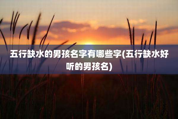 五行缺水的男孩名字有哪些字(五行缺水好听的男孩名)