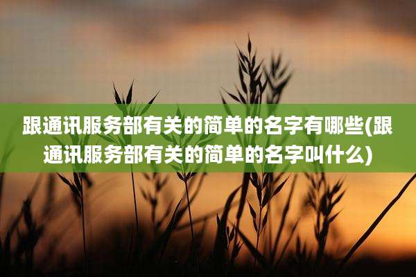 跟通讯服务部有关的简单的名字有哪些(跟通讯服务部有关的简单的名字叫什么)