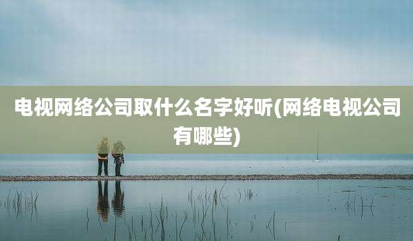 电视网络公司取什么名字好听(网络电视公司有哪些)