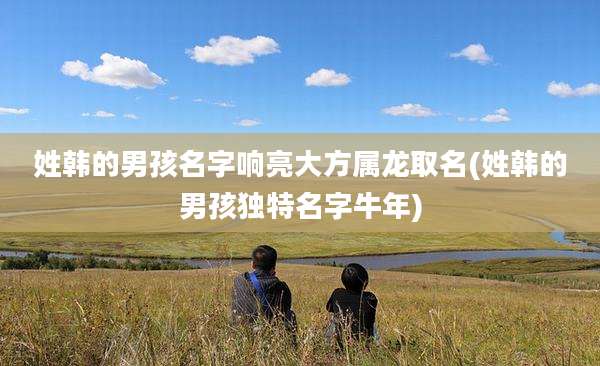 姓韩的男孩名字响亮大方属龙取名(姓韩的男孩独特名字牛年)