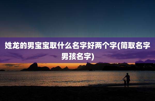 姓龙的男宝宝取什么名字好两个字(简取名字男孩名字)