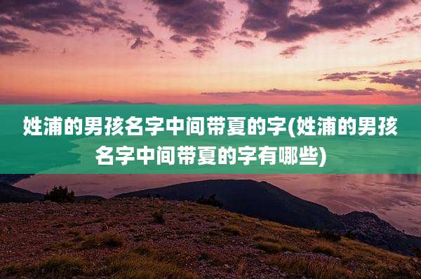 姓浦的男孩名字中间带夏的字(姓浦的男孩名字中间带夏的字有哪些)