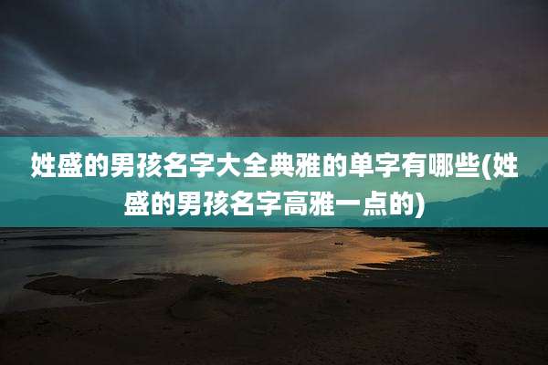 姓盛的男孩名字大全典雅的单字有哪些(姓盛的男孩名字高雅一点的)