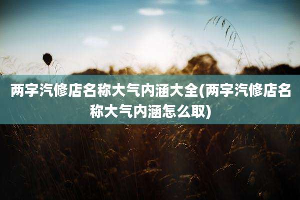 两字汽修店名称大气内涵大全(两字汽修店名称大气内涵怎么取)