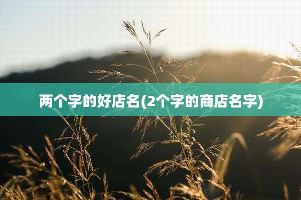 两个字的好店名(2个字的商店名字)
