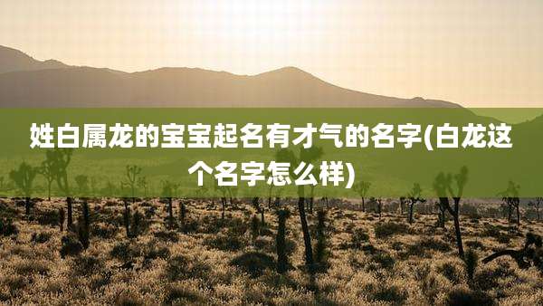 姓白属龙的宝宝起名有才气的名字(白龙这个名字怎么样)