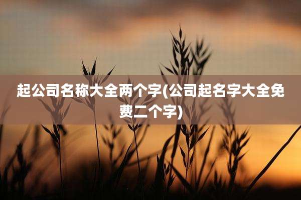 起公司名称大全两个字(公司起名字大全免费二个字)