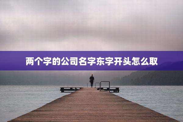 两个字的公司名字东字开头怎么取
