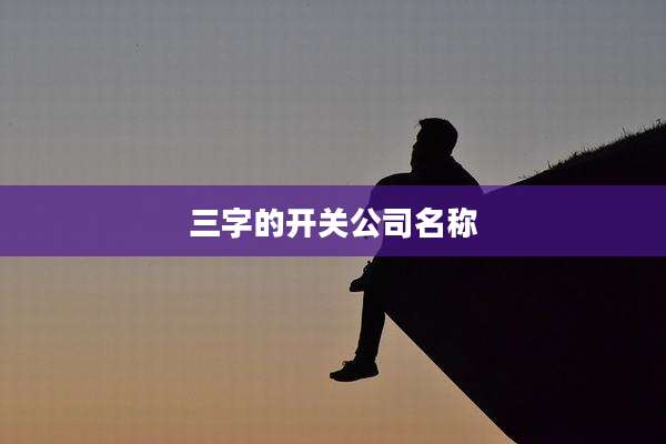 三字的开关公司名称