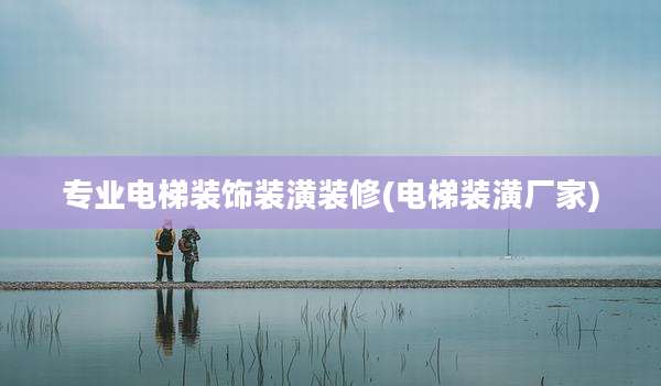 专业电梯装饰装潢装修(电梯装潢厂家)