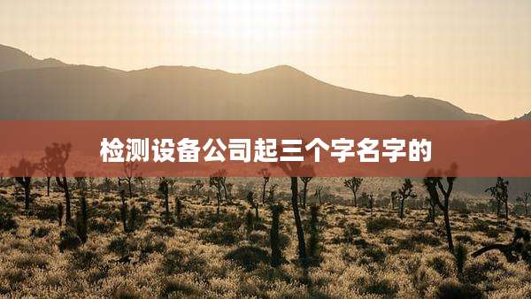 检测设备公司起三个字名字的
