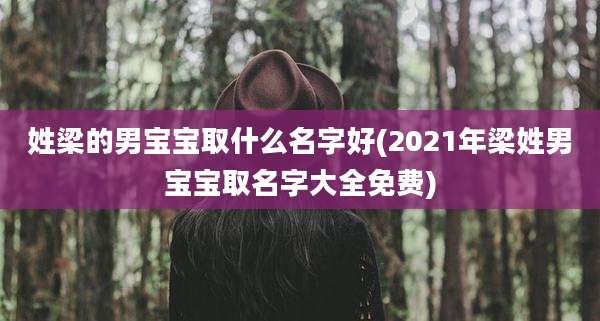 姓梁的男宝宝取什么名字好(2021年梁姓男宝宝取名字大全免费)