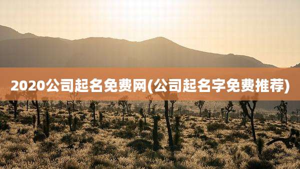 2020公司起名免费网(公司起名字免费推荐)