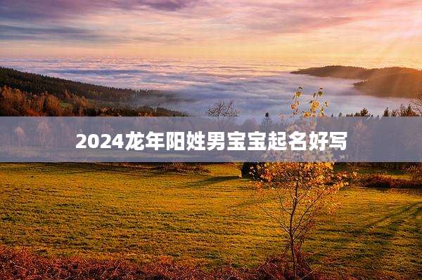 2024龙年阳姓男宝宝起名好写