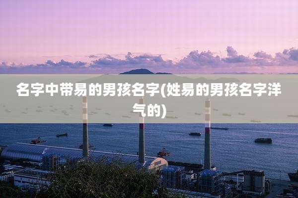 名字中带易的男孩名字(姓易的男孩名字洋气的)