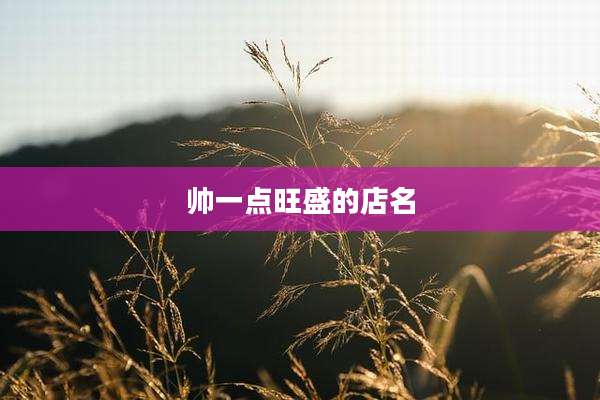 帅一点旺盛的店名