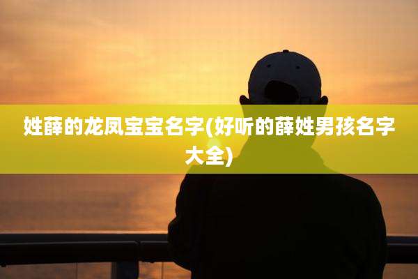 姓薛的龙凤宝宝名字(好听的薛姓男孩名字大全)