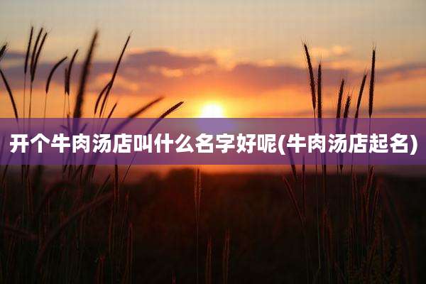 开个牛肉汤店叫什么名字好呢(牛肉汤店起名)