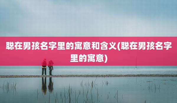 聪在男孩名字里的寓意和含义(聪在男孩名字里的寓意)