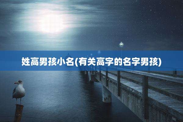 姓高男孩小名(有关高字的名字男孩)