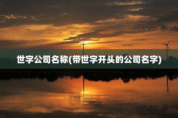 世字公司名称(带世字开头的公司名字)