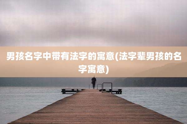 男孩名字中带有法字的寓意(法字辈男孩的名字寓意)