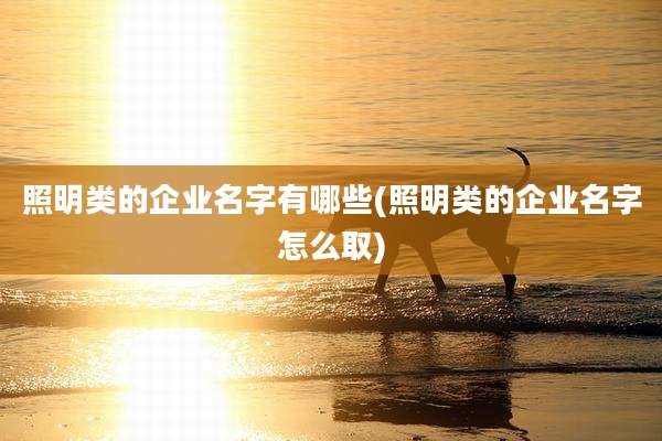 照明类的企业名字有哪些(照明类的企业名字怎么取)