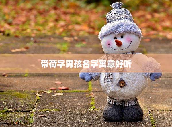带荷字男孩名字寓意好听