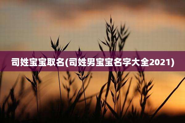 司姓宝宝取名(司姓男宝宝名字大全2021)