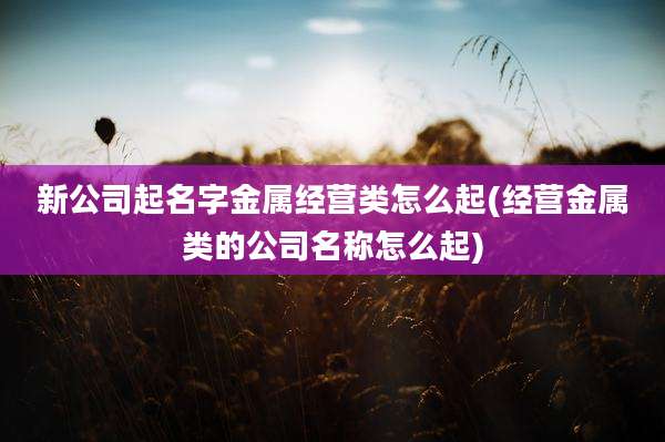 新公司起名字金属经营类怎么起(经营金属类的公司名称怎么起)