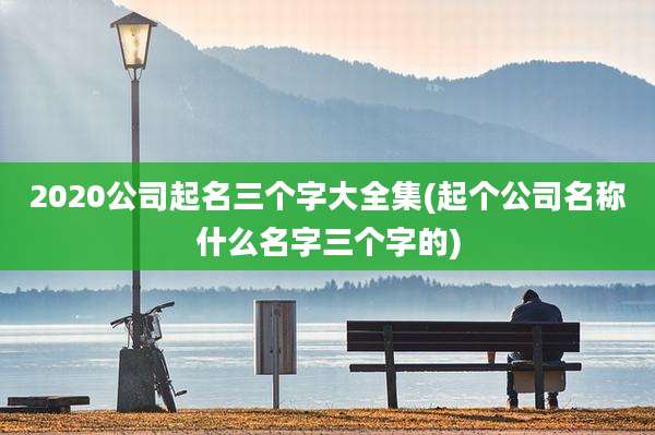 2020公司起名三个字大全集(起个公司名称什么名字三个字的)