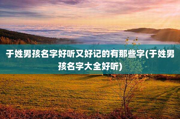于姓男孩名字好听又好记的有那些字(于姓男孩名字大全好听)
