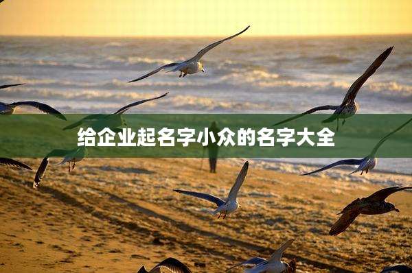 给企业起名字小众的名字大全