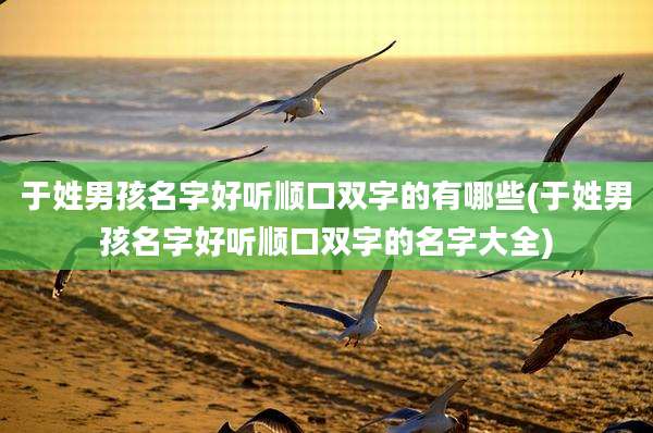 于姓男孩名字好听顺口双字的有哪些(于姓男孩名字好听顺口双字的名字大全)